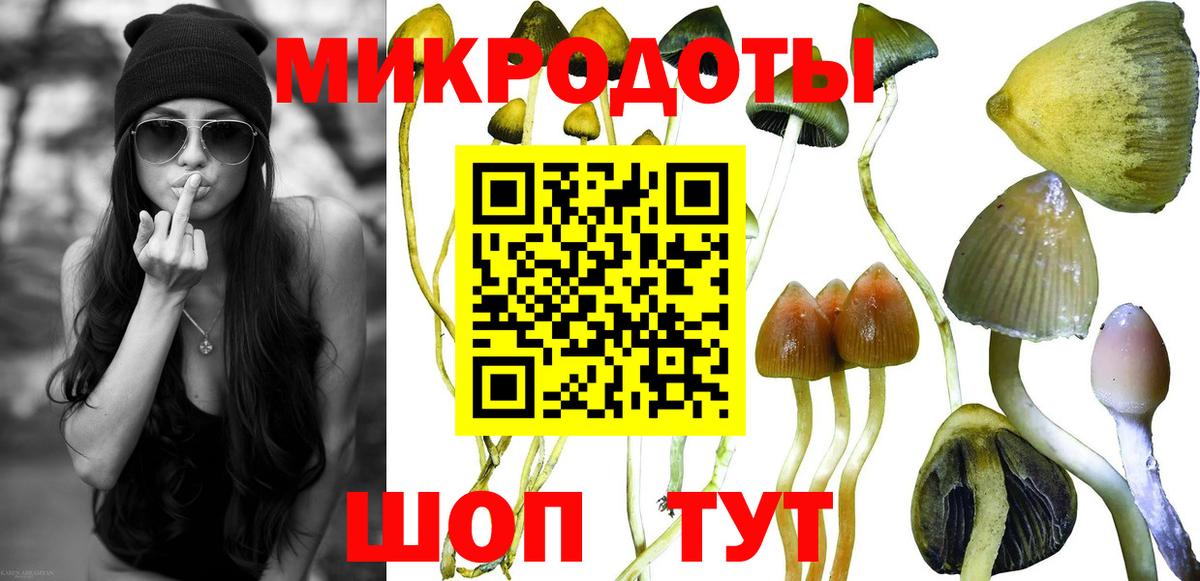 Трёхгорный  наркотики  Вход с VPN  Галлюциногенные грибы Cubensis 