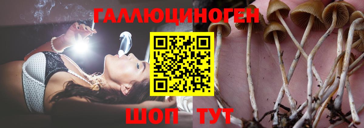 Меф   Марихуана  LSD-25  Alpha-PVP СОЛЬ кристаллы  Трёхгорный  Вход с VPN  Cocaine  Магазины продажи наркотиков  Экстази  Гашиш 